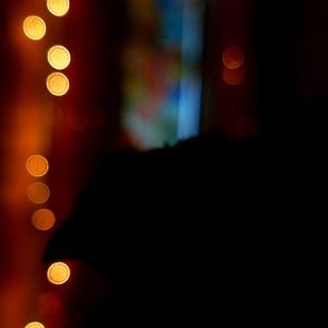 Meet your Posher, Leona